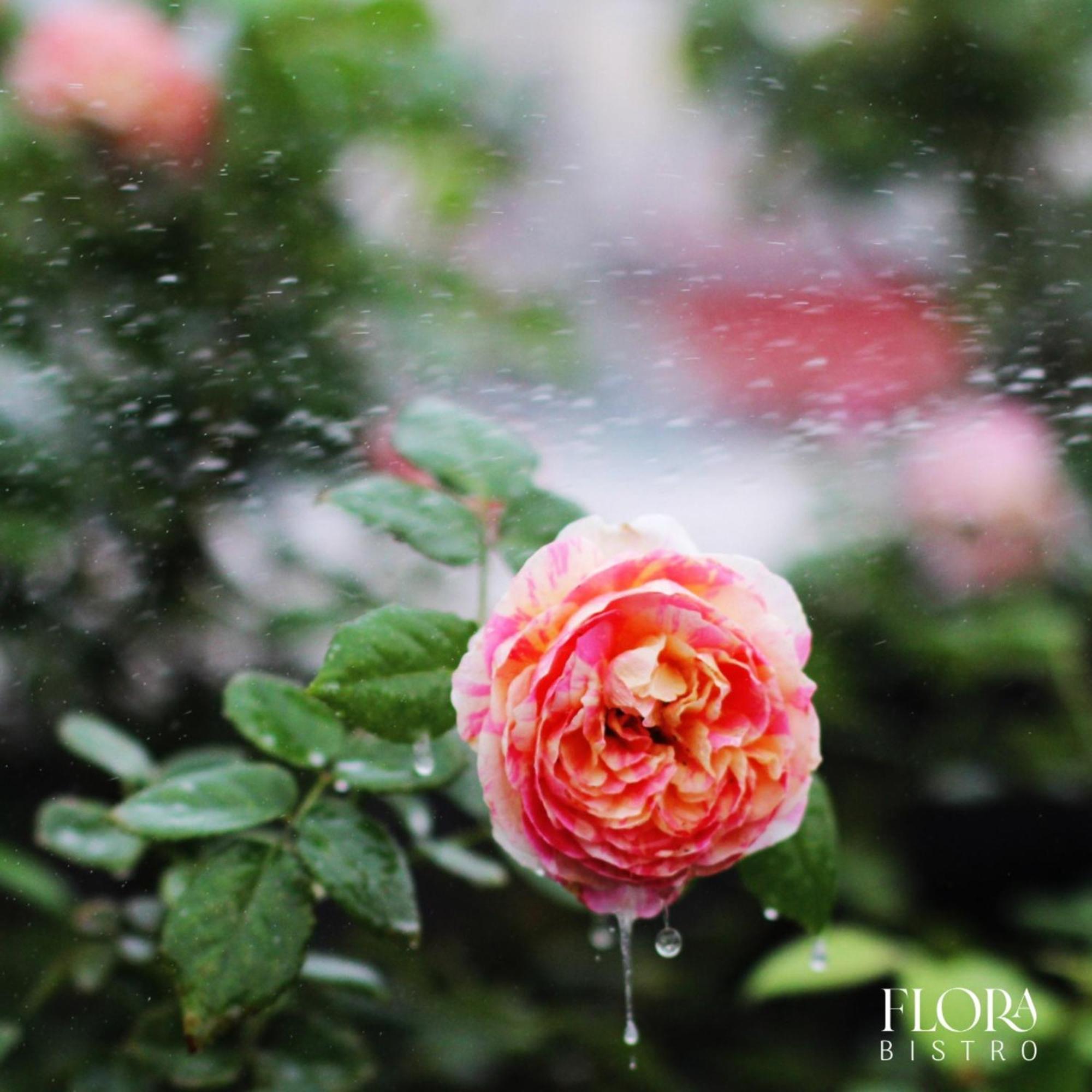 The Bloom Pham Viet Chanh - Modern Living Space In Saigon Ho Chi Minh-stad Buitenkant foto